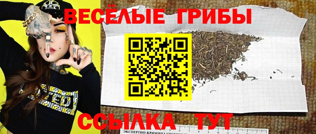 Псилоцибиновые грибы прущие грибы Ленинск-Кузнецкий