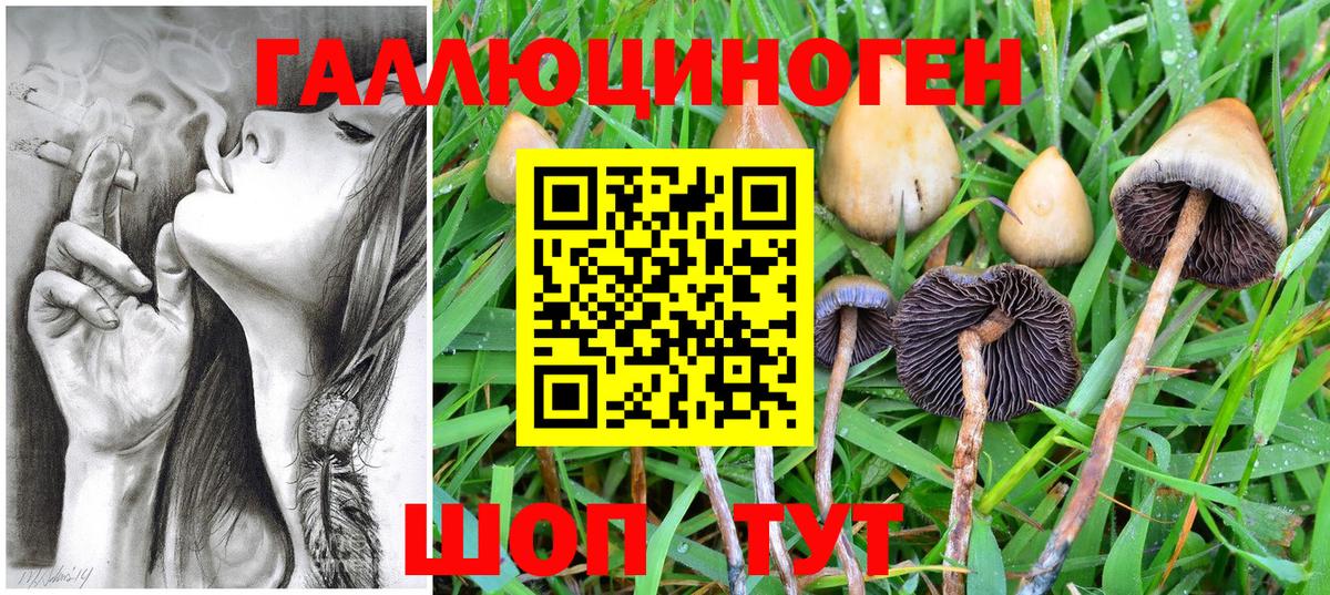 Псилоцибиновые грибы Cubensis  Псилоцибиновые грибы MAGIC MUSHROOMS  Вход с VPN  Ленинск-Кузнецкий 